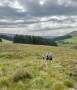Towards the trees