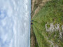Walking by the dykes