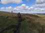 Out on the moor