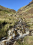 Moorland Gill