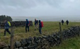 Up into the mist