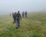 The mist again The mist again