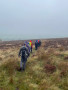 Still a misty moor Still a misty moor