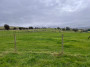 Alpaca farm, we've never seen so many! Alpaca farm, we've never seen so many!