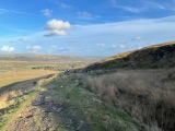 The rocky road down The rocky road down