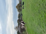 Mooo ve out of the way please