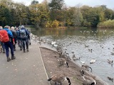 Back through the park Back through the park