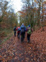 Through the woods Through the woods