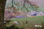Lots of sheep about Lots of sheep about