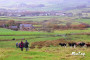 Out on the moor Out on the moor