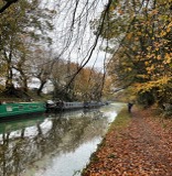 By the canal By the canal