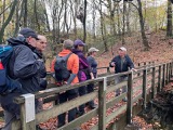 Talking to the Yarrow