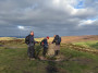 The trig again The trig again