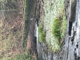 Spot the heron