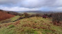 Down the valley Down the valley