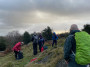 Up the fell