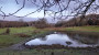 Lonely pond Lonely pond