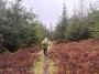 Track in the forest Track in the forest