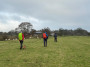 Through the field Through the field