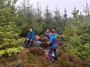 Break in the trees Break in the trees