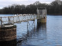 Gulls on the gantry Gulls on the gantry