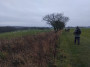 Field walking