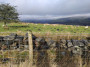 Far reaching views Far reaching views