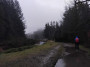 Through the woods