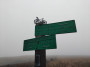 Which way?