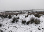 Brrrr, it's cold out here Brrrr, it's cold out here