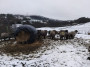 Feeding the sheep Feeding the sheep