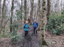 Through the woods