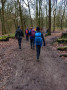 Through Borsdane Wood