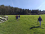 Across the fields Across the fields