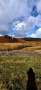 Ribble Valley scenery Ribble Valley scenery