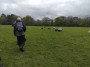 Baa baa black sheep Baa baa black sheep