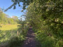 Paths are lovely at this time of year