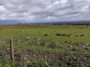Manchester in the far distance Manchester in the far distance