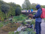 Looking for tadpoles