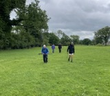 The lamb rescuers return