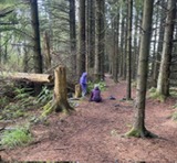 Lunch in the forest