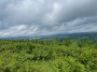 View towards Bowland