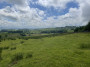 Ribble Valley view