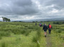 Down the hill