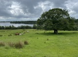 Reservoir view