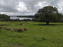 Reservoir view