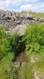 Robin Hood's well