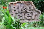Blue Peter garden