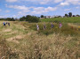 Walking through the fields