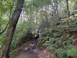 Cool in the woods